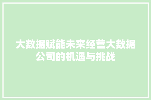 大数据赋能未来经营大数据公司的机遇与挑战