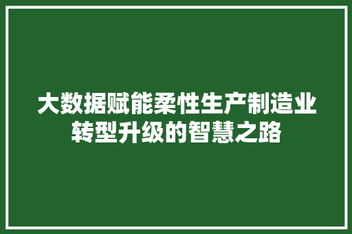 大数据赋能柔性生产制造业转型升级的智慧之路
