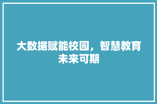 大数据赋能校园，智慧教育未来可期