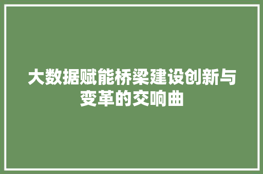 大数据赋能桥梁建设创新与变革的交响曲