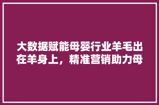 大数据赋能母婴行业羊毛出在羊身上，精准营销助力母婴市场繁荣
