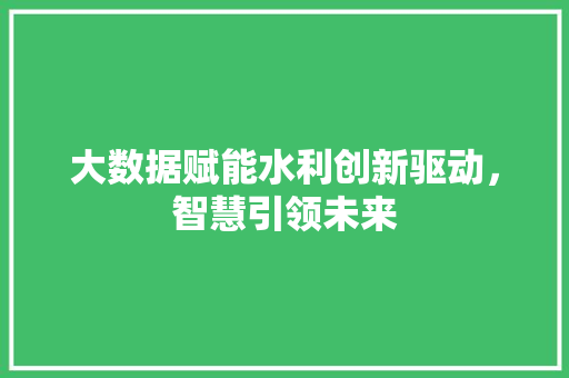 大数据赋能水利创新驱动，智慧引领未来