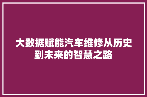 大数据赋能汽车维修从历史到未来的智慧之路 服务器/数据库