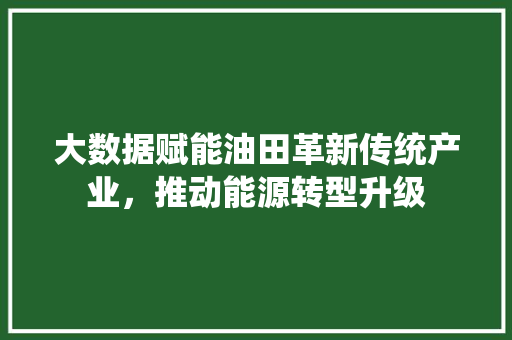 大数据赋能油田革新传统产业，推动能源转型升级