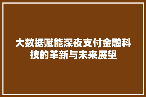 大数据赋能深夜支付金融科技的革新与未来展望