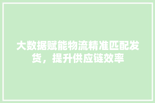 大数据赋能物流精准匹配发货，提升供应链效率
