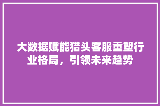 大数据赋能猎头客服重塑行业格局，引领未来趋势