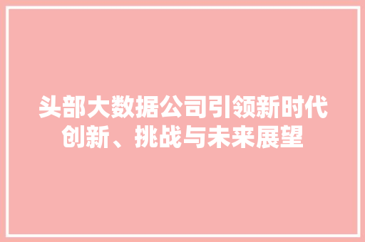 头部大数据公司引领新时代创新、挑战与未来展望