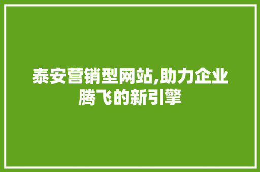 泰安营销型网站,助力企业腾飞的新引擎