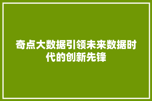 奇点大数据引领未来数据时代的创新先锋
