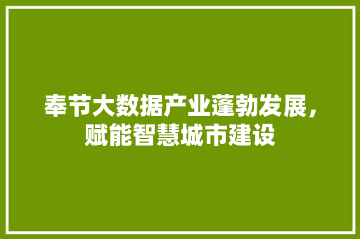 奉节大数据产业蓬勃发展，赋能智慧城市建设