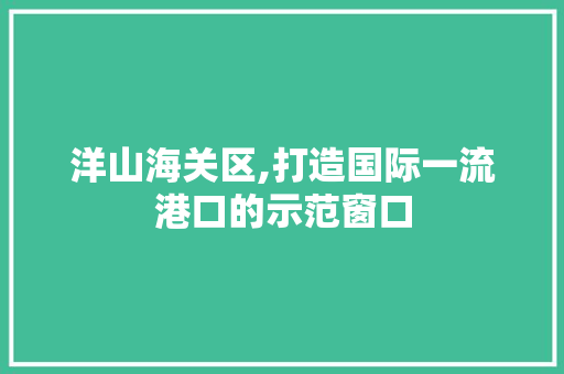 洋山海关区,打造国际一流港口的示范窗口