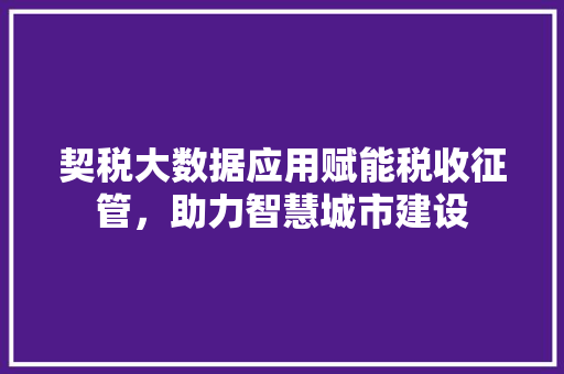 契税大数据应用赋能税收征管，助力智慧城市建设