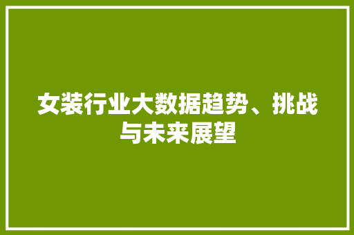 女装行业大数据趋势、挑战与未来展望