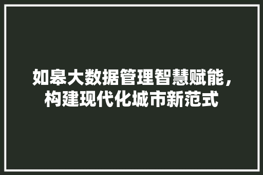 如皋大数据管理智慧赋能，构建现代化城市新范式