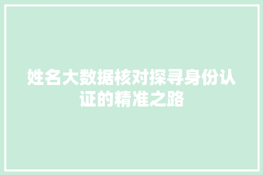 姓名大数据核对探寻身份认证的精准之路