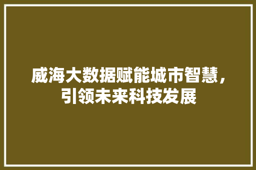 威海大数据赋能城市智慧，引领未来科技发展