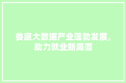娄底大数据产业蓬勃发展，助力就业新局面