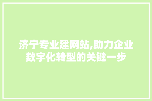 济宁专业建网站,助力企业数字化转型的关键一步