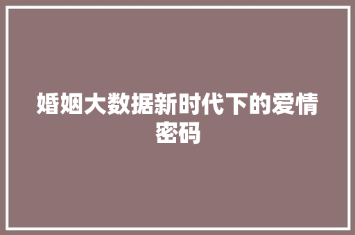 婚姻大数据新时代下的爱情密码