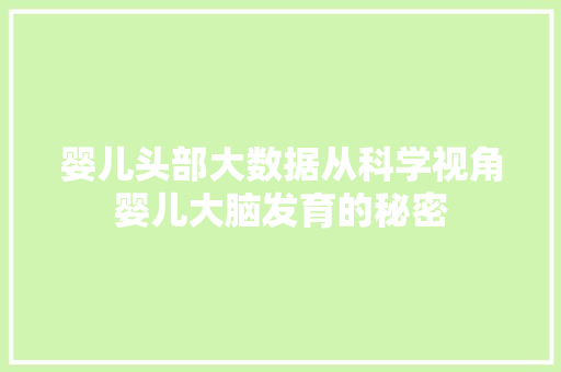婴儿头部大数据从科学视角婴儿大脑发育的秘密