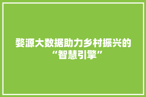婺源大数据助力乡村振兴的“智慧引擎”