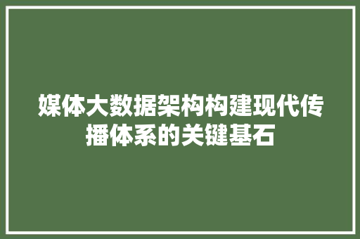 媒体大数据架构构建现代传播体系的关键基石