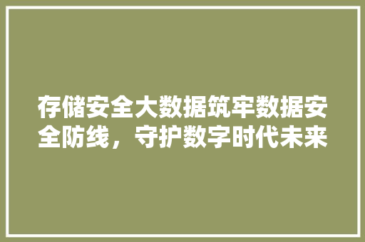 存储安全大数据筑牢数据安全防线，守护数字时代未来