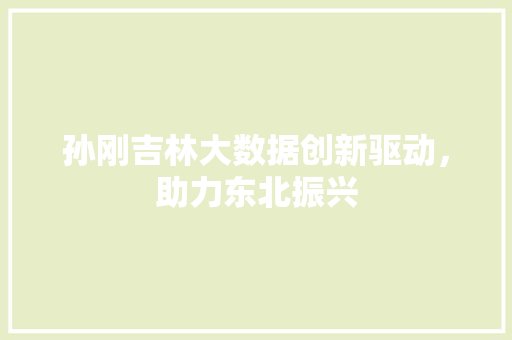孙刚吉林大数据创新驱动，助力东北振兴