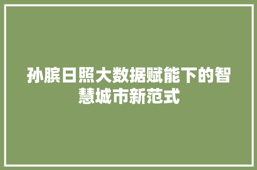 孙膑日照大数据赋能下的智慧城市新范式