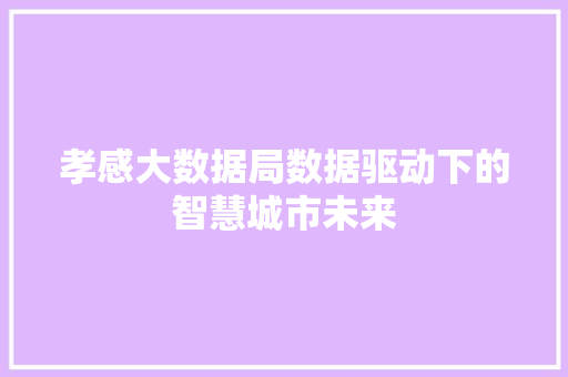 孝感大数据局数据驱动下的智慧城市未来
