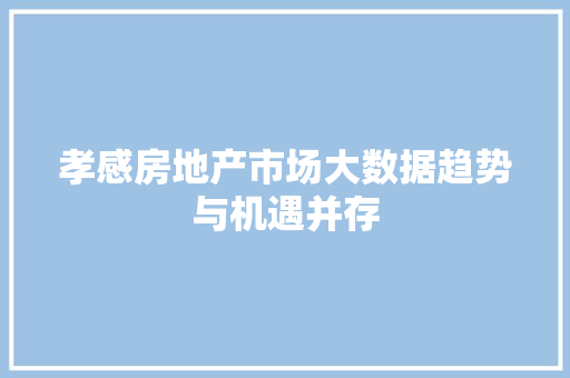 孝感房地产市场大数据趋势与机遇并存