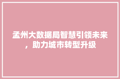 孟州大数据局智慧引领未来，助力城市转型升级