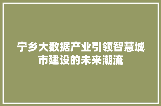 宁乡大数据产业引领智慧城市建设的未来潮流