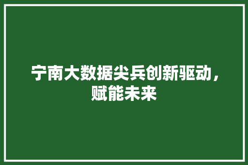 宁南大数据尖兵创新驱动，赋能未来