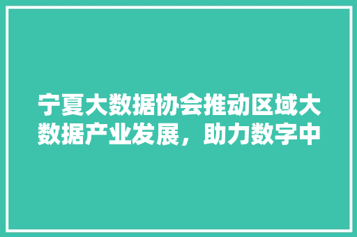 宁夏大数据协会推动区域大数据产业发展，助力数字中国建设