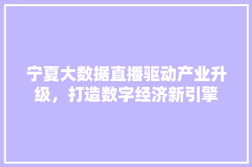 宁夏大数据直播驱动产业升级，打造数字经济新引擎