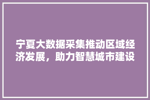 宁夏大数据采集推动区域经济发展，助力智慧城市建设
