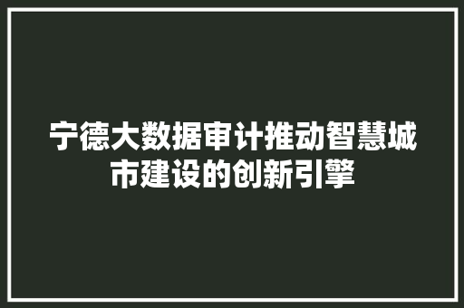 宁德大数据审计推动智慧城市建设的创新引擎