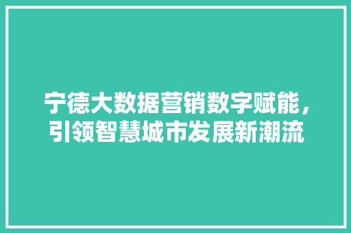 宁德大数据营销数字赋能，引领智慧城市发展新潮流