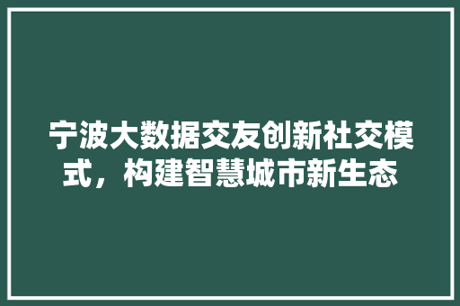 宁波大数据交友创新社交模式，构建智慧城市新生态
