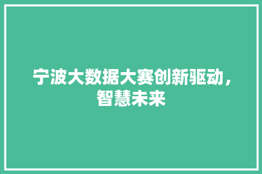 宁波大数据大赛创新驱动，智慧未来