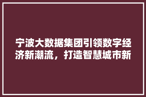 宁波大数据集团引领数字经济新潮流，打造智慧城市新标杆 WordPress教程