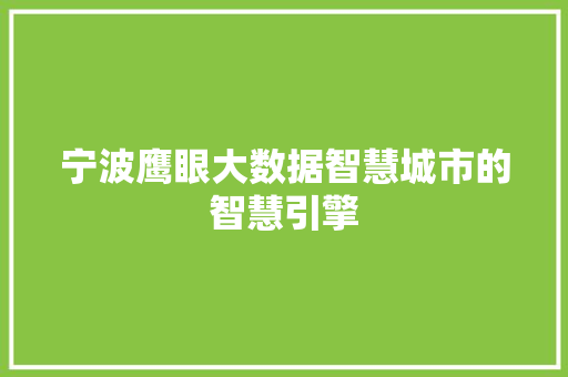 宁波鹰眼大数据智慧城市的智慧引擎