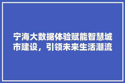 宁海大数据体验赋能智慧城市建设，引领未来生活潮流