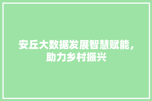 安丘大数据发展智慧赋能，助力乡村振兴