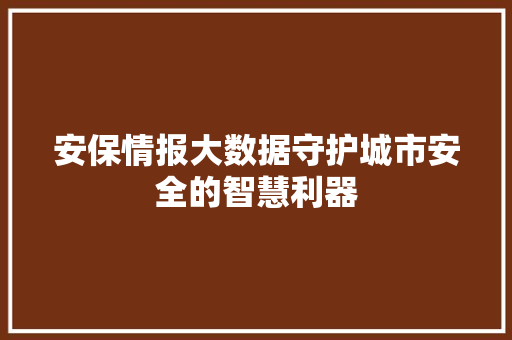 安保情报大数据守护城市安全的智慧利器