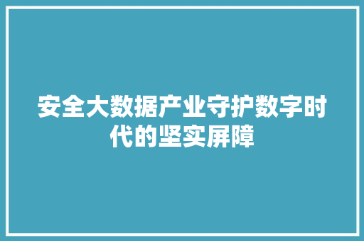 安全大数据产业守护数字时代的坚实屏障