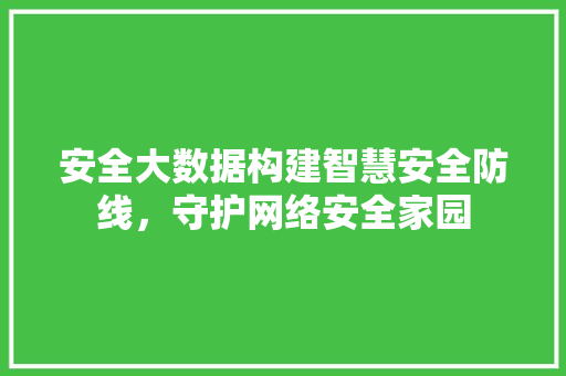 安全大数据构建智慧安全防线，守护网络安全家园
