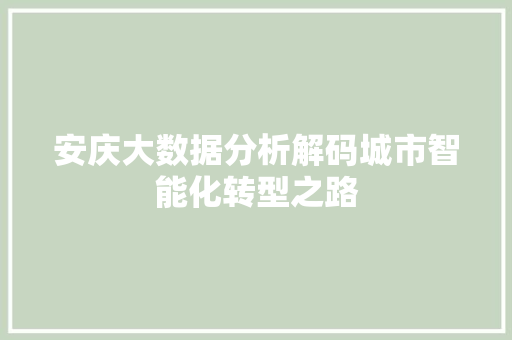 安庆大数据分析解码城市智能化转型之路